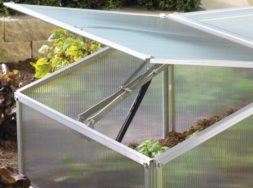 Vitavia automatischer
